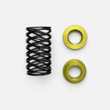 Infamous Skeleton Air Regulator Wave Spring Kit - EMEK / ETHA / CS1 / CS2 / GEO / GTEK